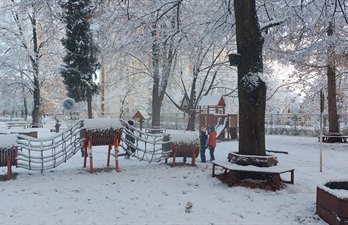 obrázek galerie